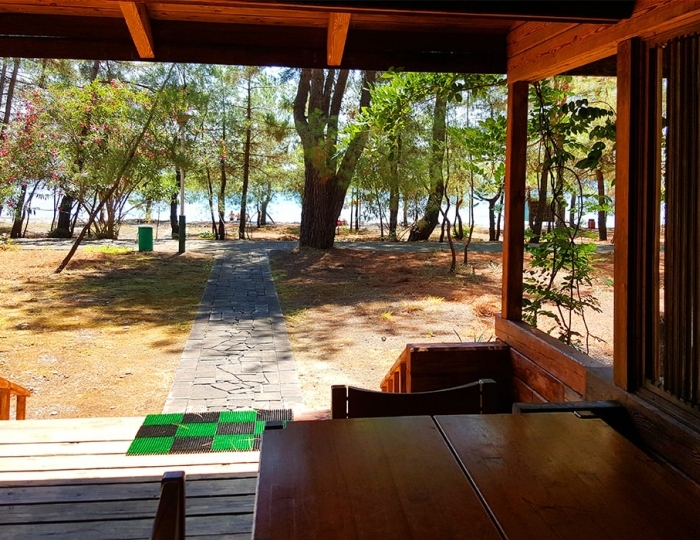 2-местное коттедж улучш. - Пансионат «Лдзаа Госдача» Пицунда